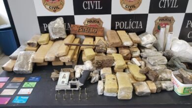 Grande quantidade de maconha é encontrada dentro de uma residência de Cubatão