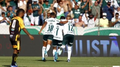 Palmeiras
