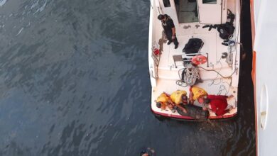 Mergulhadores encontram 130 kg de cocaína em navio no Porto de Santos