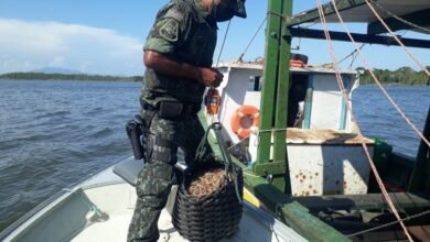 Pescador é multado em R$ 3 mil por irregularidades na pesca