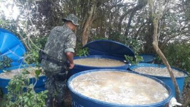 Polícia apreende quatro toneladas de peixes no Litoral