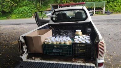 Potes com palmito são apreendidos pela Polícia Ambiental em Iguape