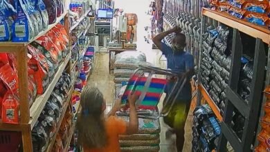Mulher espanta assaltante com cadeira de praia