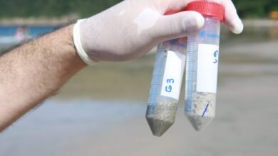 Qualidade da areia das praias de Guarujá são monitoradas por laboratório
