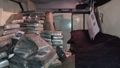 Mais de 300 Kg de cocaína são apreendidos durante operação no Porto de Santos