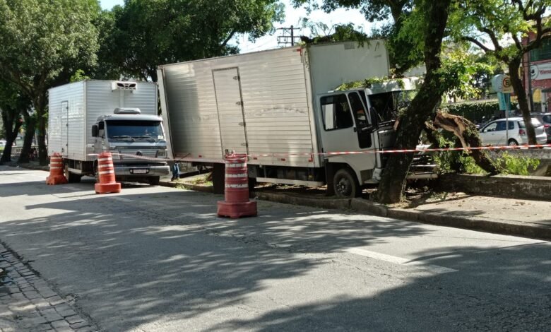 Caminhoneiro passa mal e derruba árvore em avenida de Santos