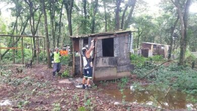 Barraco erguido em área ambiental de Praia Grande é demolido