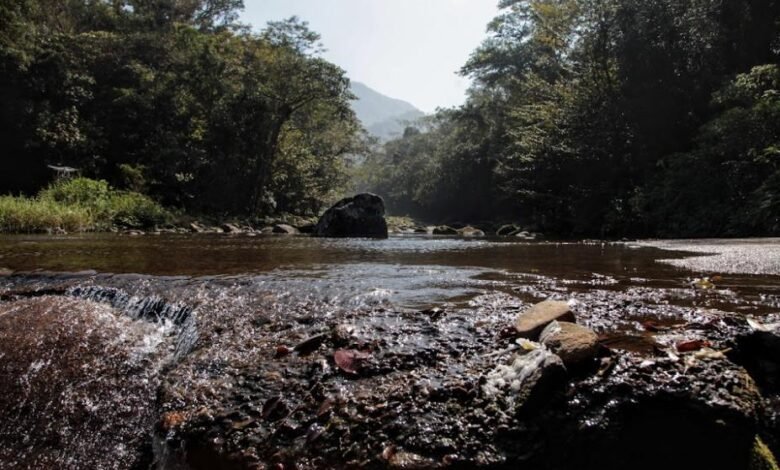 No Dia Mundial da Água, Prefeitura de Santos lança programa de preservação