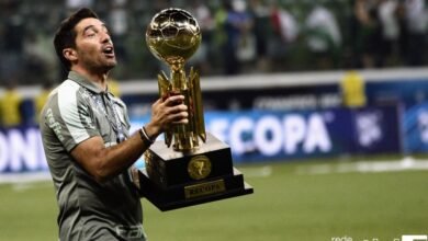 Palmeiras Campeão