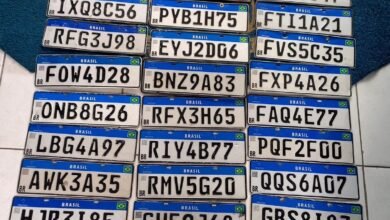 Guarda Civil de Ubatuba recupera centenas de placas de carro perdidas durante as fortes chuvas