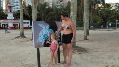 Placas em praia de Santos destacam a importância de conservar a faixa de areia