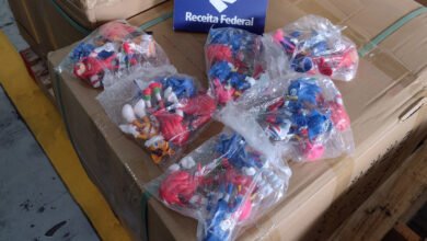 Cerca de 60 toneladas de brinquedos falsificados são apreendidos no Porto de Santos