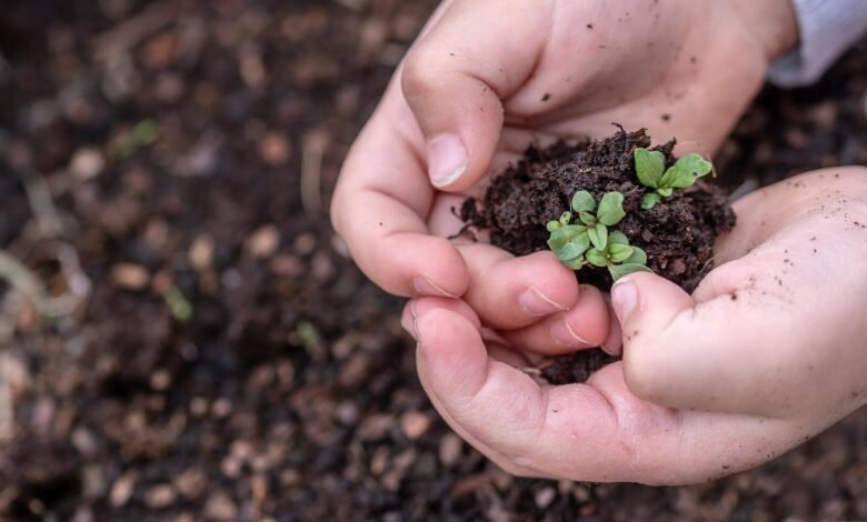 Educação Ambiental