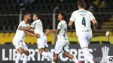 Palmeiras