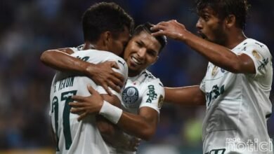 Palmeiras