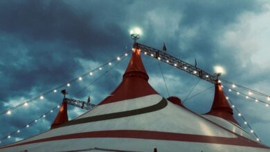 Trapezista de circo bate a cabeça durante apresentação em São Vicente