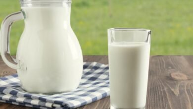 Conheça o leite tipo A2 lançado no Brasil