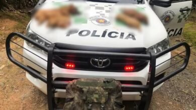 Polícia multa abatedores de Animais em Cajati