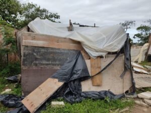 Mega Operação da Polícia Ambiental é realizada na Baixada Santista