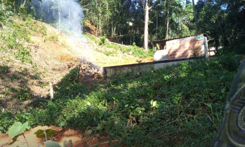 Acusados de provocarem desmatamento em Ubatuba são multados em mais de R$ 44 mil