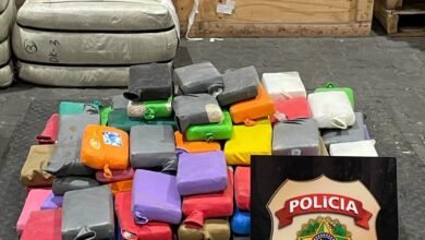 Polícia e Receita Federal apreendem drogas em contêiner em Santos