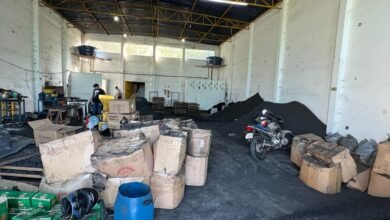 Fábrica clandestina de carvão é descoberta pela Polícia em Itanhaém