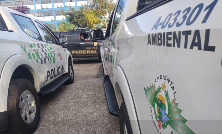 Operação conjunta combate extração ilegal de madeira em Ubatuba e aplica multa de R$ 80 mil