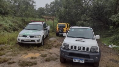 Polícia Militar Ambiental apreende Palmito Juçara "In Natura" em Bertioga