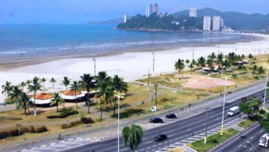 São Vicente realiza serviço de desratização na Praia do Itararé