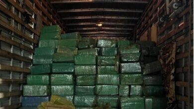 Mais de 5 toneladas de maconha é encontrada dentro de caminhão em rodovia de SP