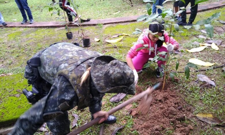 Polícia Ambiental divulga resultados de Operação "Semana Meio Ambiente"