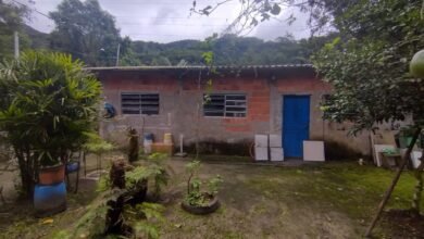 Polícia Ambiental multa morador de Bertioga por construir em área ilegal