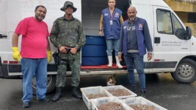 Polícia Ambiental apreende meia tonelada de camarão em Guarujá