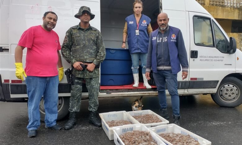 Polícia Ambiental apreende meia tonelada de camarão em Guarujá