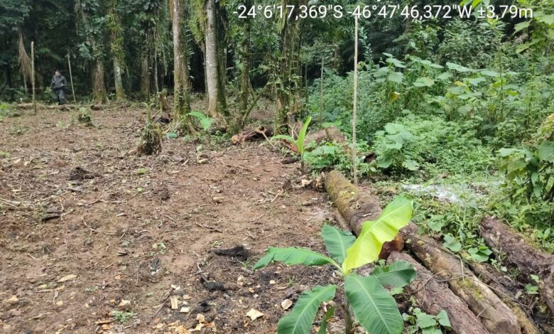 Polícia Militar Ambiental localiza construção irregular em Itanhaém