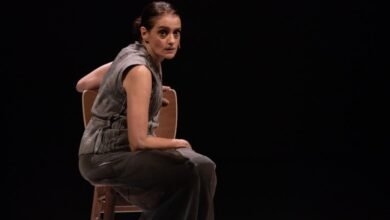 Fescete de Santos abre com homenagem à Denise Fraga