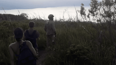 Bombeiros salvam casal perdido em ilha de Ilhabela