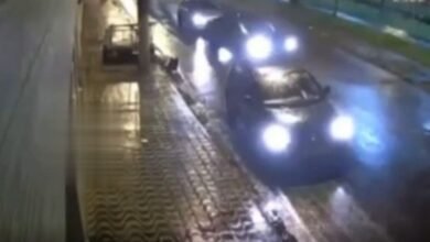 VÍDEO - Carroceiro é atropelado por motorista que foge sem prestar socorro