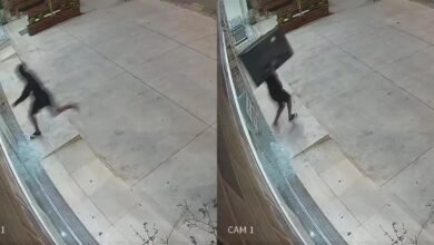 VÍDEO - Câmeras flagram ação de bandido em Pet Shop de Santos