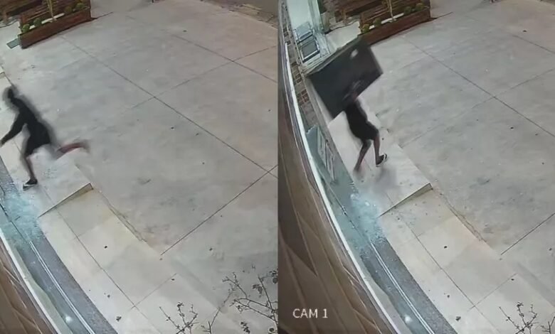 VÍDEO - Câmeras flagram ação de bandido em Pet Shop de Santos