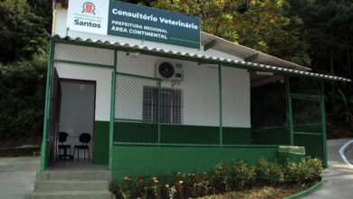 Área Continental de Santos conta com o primeiro consultório veterinário