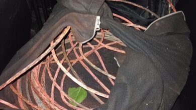 Guarda Municipal captura trio que furtava fios de cobre na Enseada