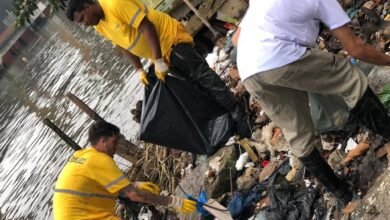 Mutirão retira cerca de cinco toneladas de resíduos de manguezais, em Guarujá