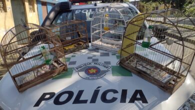 Polícia Ambiental multa em R$4 mil reais homem que mantinha aves em cativeiro