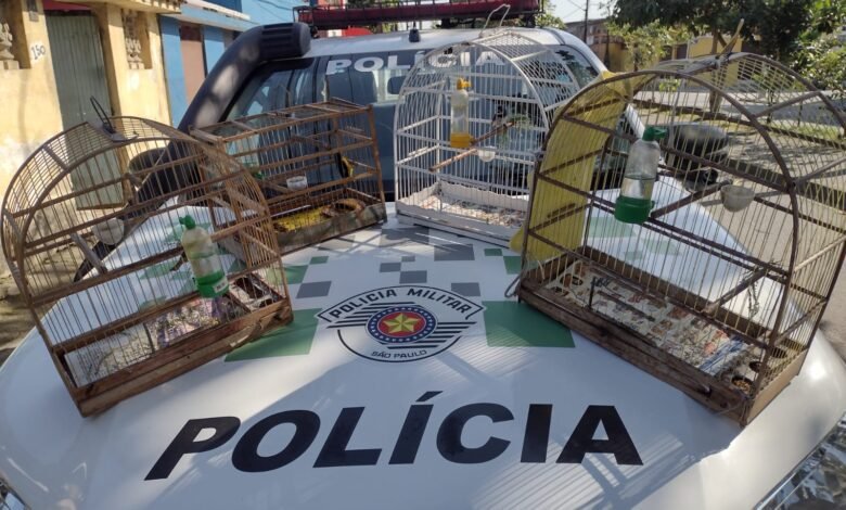 Polícia Ambiental multa em R$4 mil reais homem que mantinha aves em cativeiro