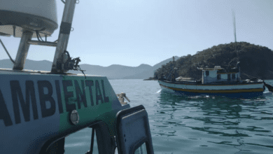 Polícia Ambiental aplica multa superior a R$ 134 mil por pesca irregular em Ubatuba