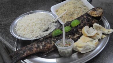 Começa a Festa da Tainha de Guarujá