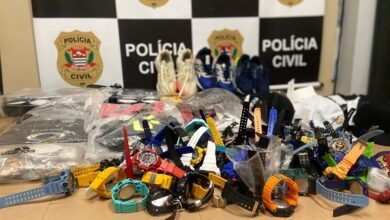 Grande quantidade de produtos falsificados são apreendidos em Santos