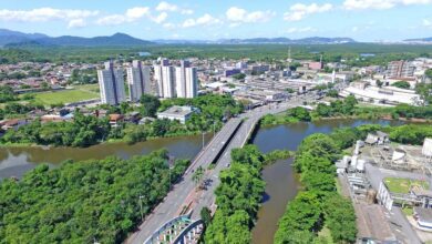 Cubatão registra queda de árvores por conta de ventania