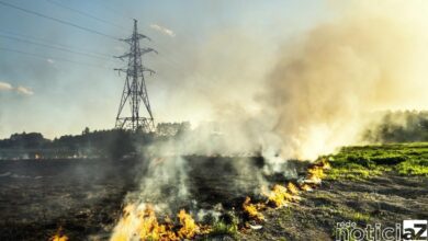 Alerta para riscos de acidentes com a rede elétrica devido as queimadas